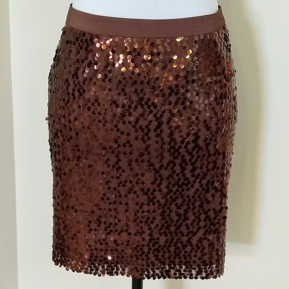 Banana Republic Dresses & Skirts - Banana Republic sequinned mini skirt, NWT, size 12. Mini skirt.